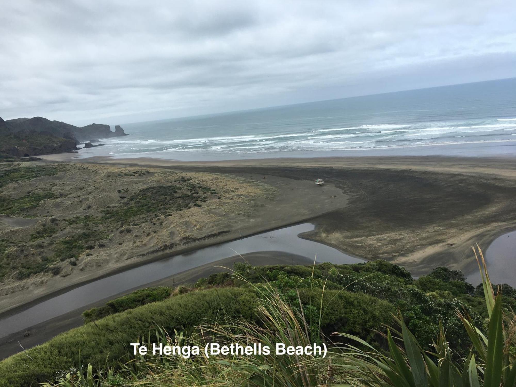 Te Henga Hideaway Villa Bethells Beach Eksteriør billede